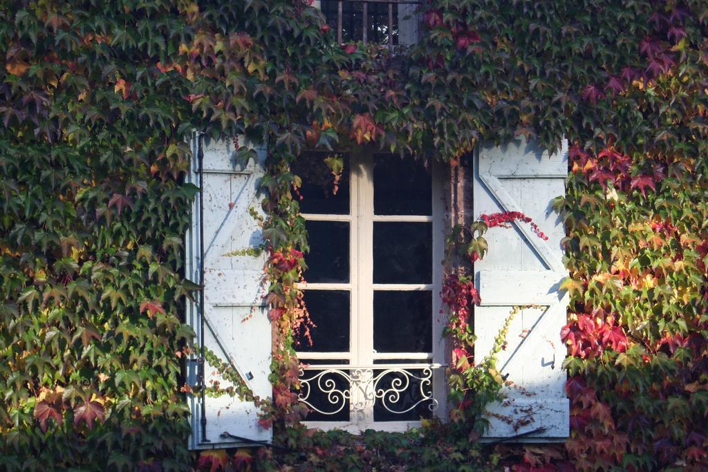 Chateau Labistoul Campes Exterior foto