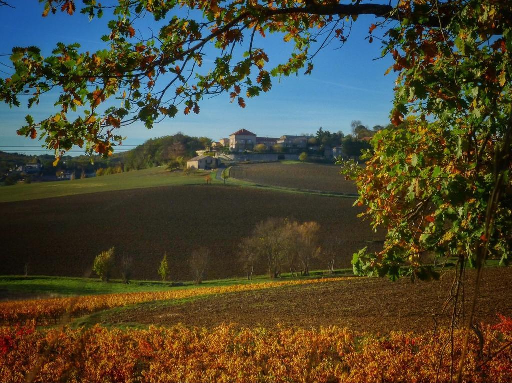 Chateau Labistoul Campes Exterior foto